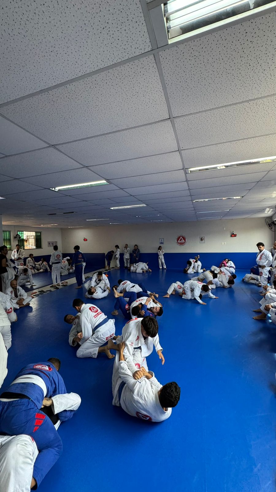 Gracie Barra Academy